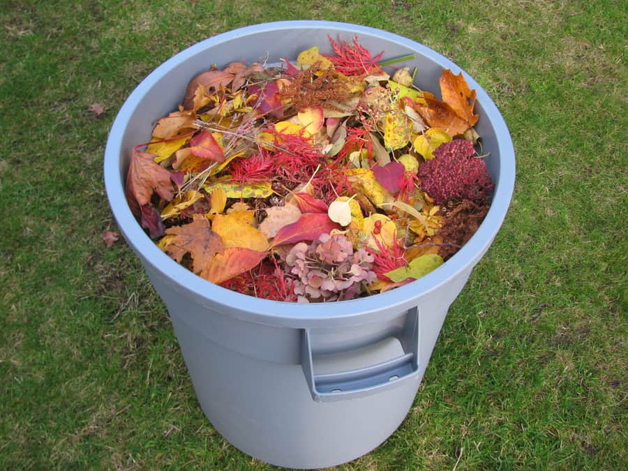 A Plastic Trash Container Full Of Yellow And Red Leaves
