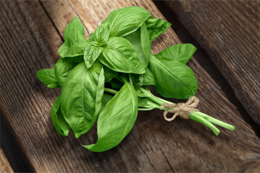 Basil On A Wooden Table
