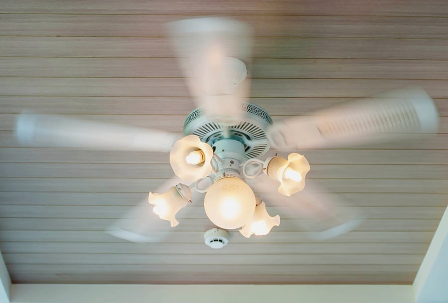 Ceiling Fan With Light Fixture