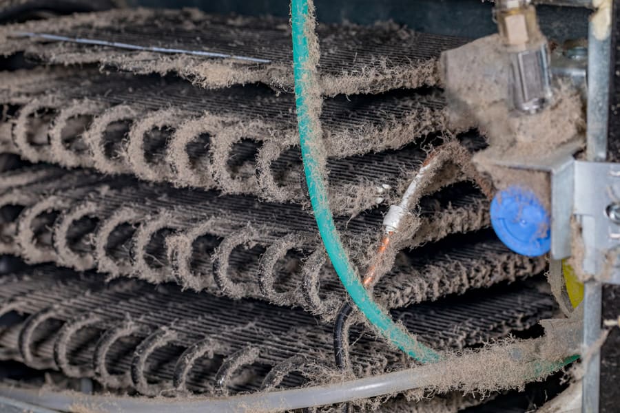Dirty Refrigerator Condenser Cooling Coils Covered In Dust And Pet Hair