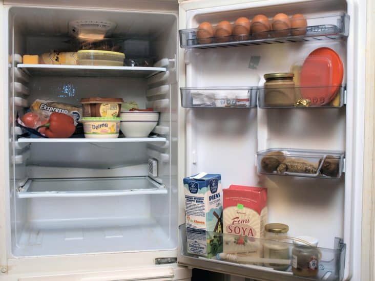 Get Rid of Smell From an Unplugged Fridge (6 Easy Steps) ApplianceTeacher
