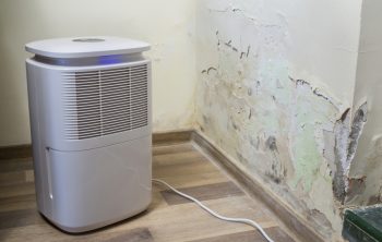 Purifier Next To A Damaged Wall From Severe Mold And Toxic Fungus Growth
