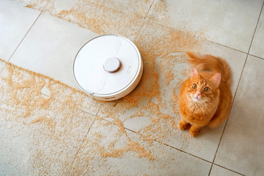 Robotic Vacuum Cleaner On The Dirty Floor With A Surprised Ginger Cat