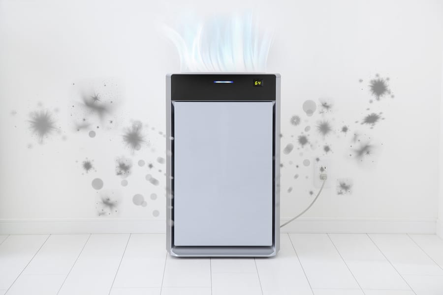 Air Purifier For The Prevention Of Mold