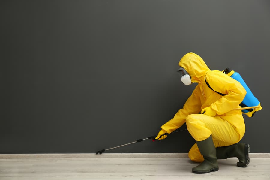 Pest Control Worker In Protective Suit Spraying Pesticide Near Black Wall Indoors