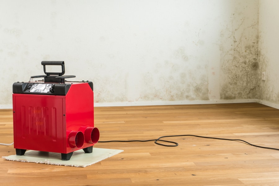 Red Dehumidifier In An Empty Apartment With A Toxic Mold And Mildew Problem