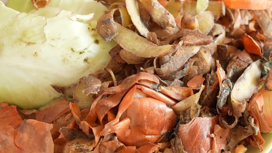 Close-Up View Of Pile Of Different Organic Wastes After Cooking Food At Home