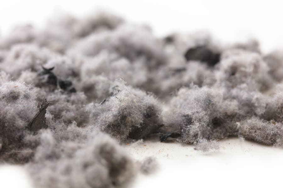 Common House Hold Dust,Lint And Debris