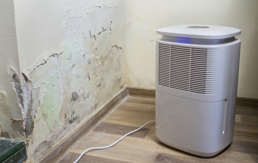 Dehumidifier For Water Infiltration,