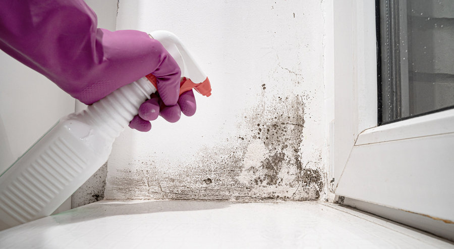 Hand In Glove Sprays The Product On Angle Between Door And White Wall From Black Mold