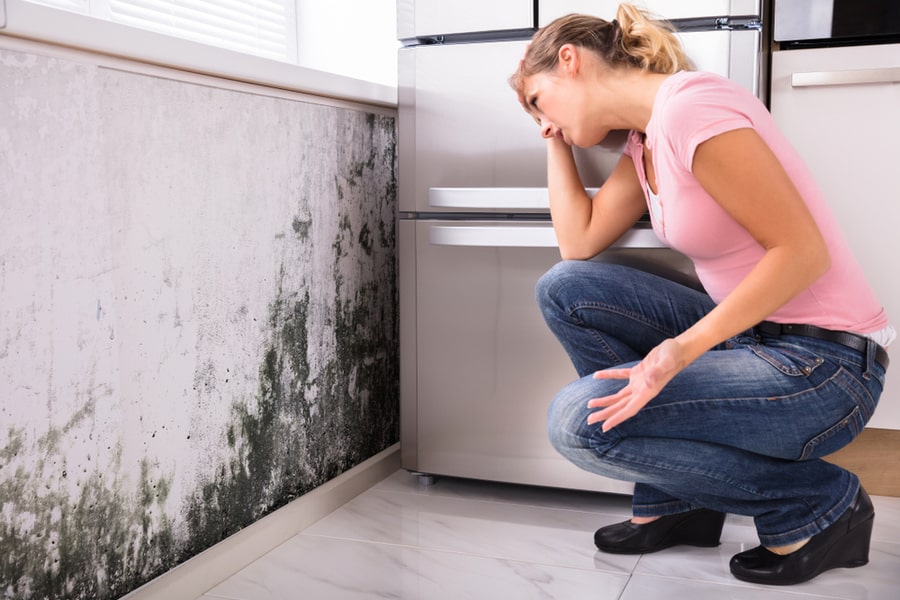 Prevention Of Mold And Mildew