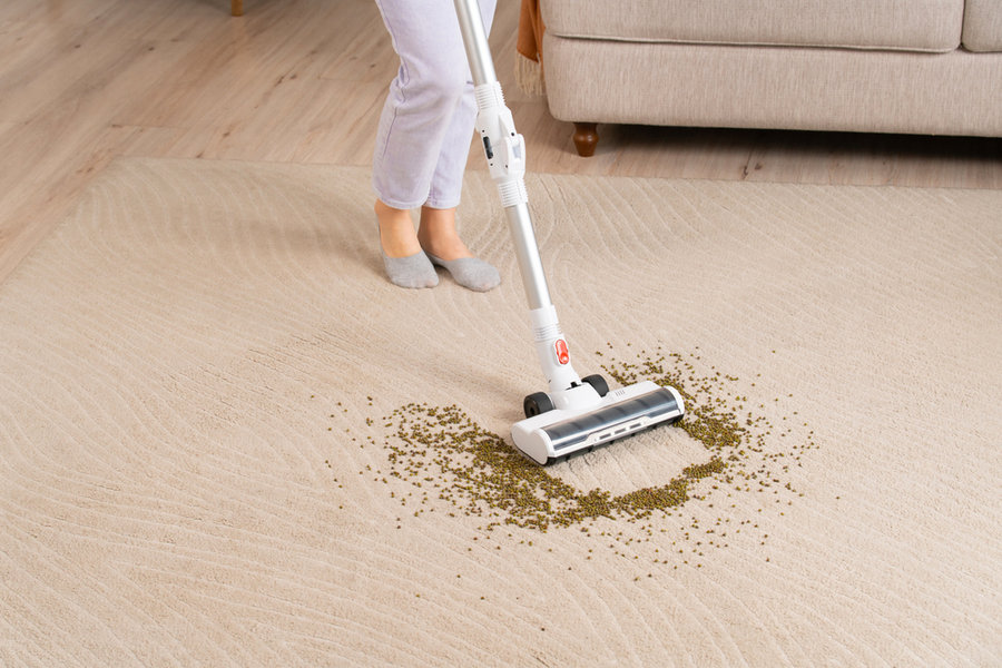 Vacuum Cleaner To Clean Home Carpet