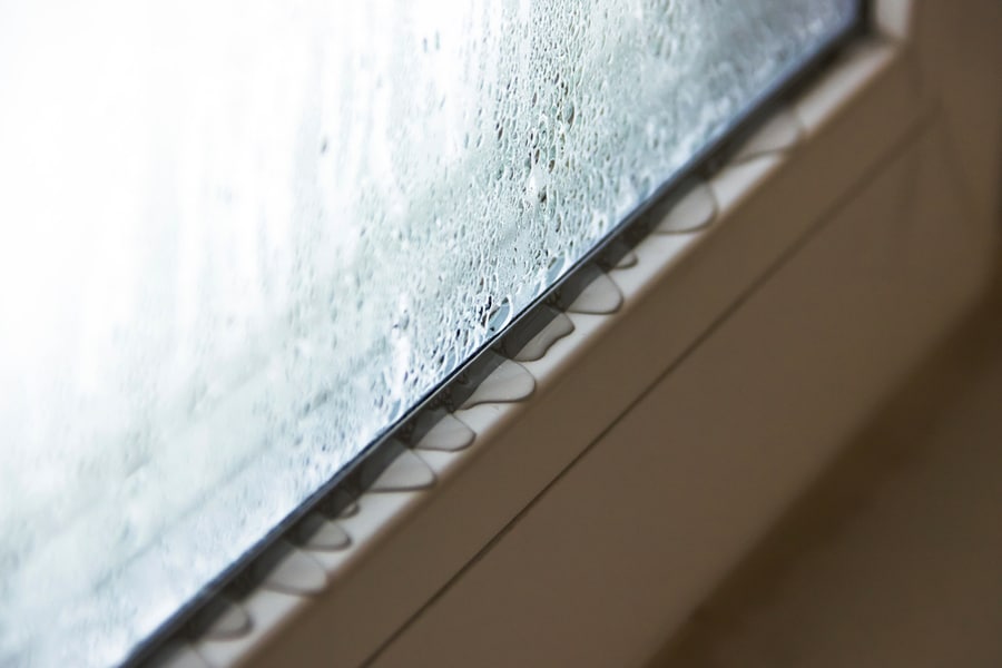 Window With Condensation
