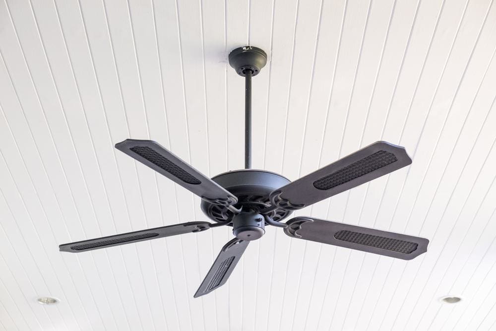 Ceiling Fan 2