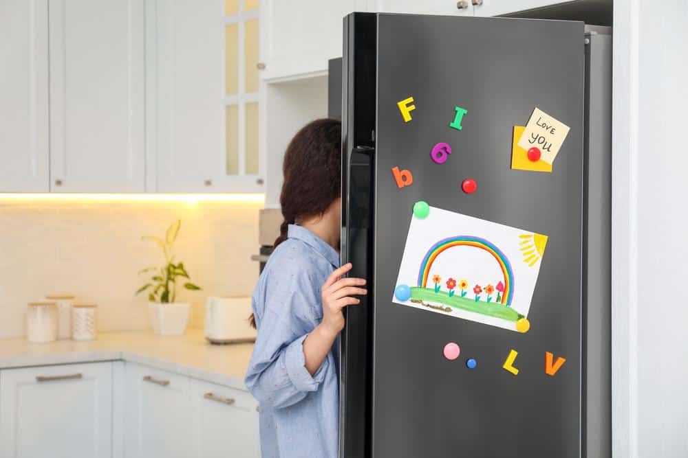 Refrigerator 11